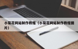 东莞小菊花网站制作教程（小菊花网站制作教程图片）
