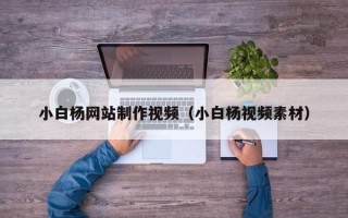 东莞小白杨网站制作视频（小白杨视频素材）